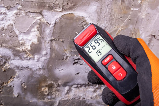 Best Bathroom Mold Remediation in Powhatan Point, OH