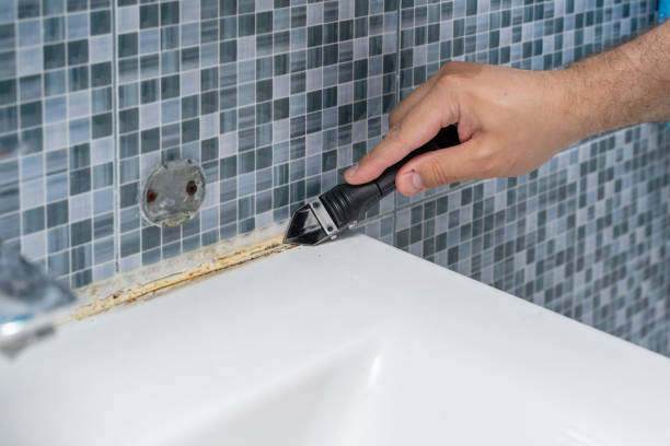 Best Mold Testing and Inspection Services in Powhatan Point, OH